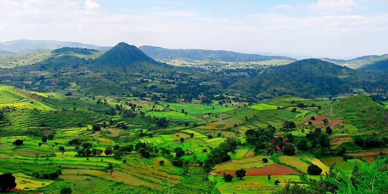 1 Night - 2 Day Araku Valley Tour Package