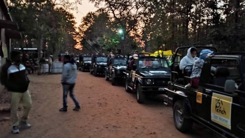 2 Nights  3 Days Bandhavgarh National Park Tour