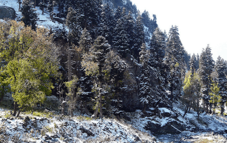 3N 4D Srinagar to Gulmarg Pahalgam Sonamarg Achabal and Verinag Lolab Valley Bangus Valley Trip