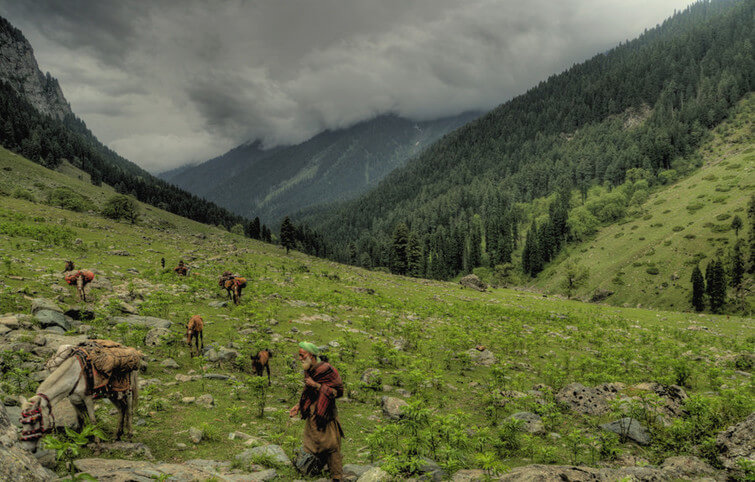 3N 4D Srinagar to Gulmarg Pahalgam Sonamarg Achabal and Verinag Lolab Valley Bangus Valley Trip