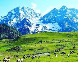 3 Night 4 Days Srinagar to Gulmarg. Gulmarg to Phalgam Phalgam to Sonamarg and Full Ride of Srinagar