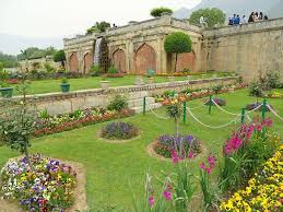 1 Day Package of Srinagar Tulip Garden and Botanical Garden