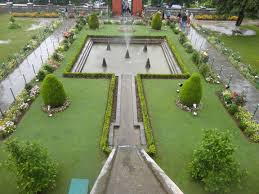1 Day Package of Srinagar Tulip Garden and Botanical Garden