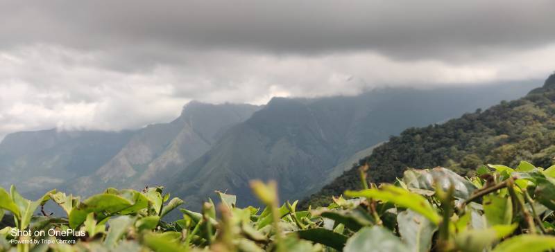 8 Nights - 9 Days Scenic Kerala Tour