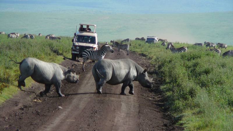4 Days Tanzania Private Family Safari