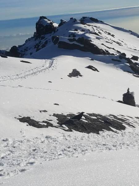 6 Days Kilimanjaro Hiking Via Machame Route