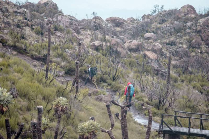 7 Days Machame Route