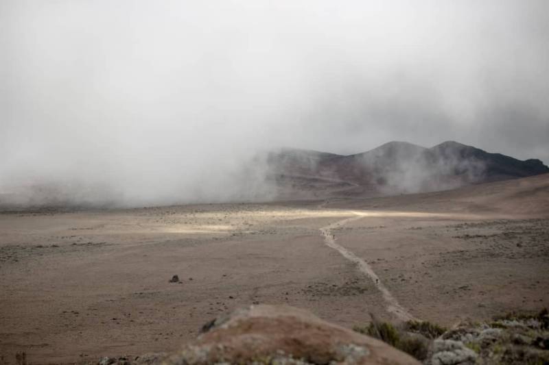 Memorable 7 Days Lemosho Route