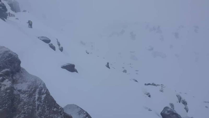 7 Days Lemosho Route Group Tour