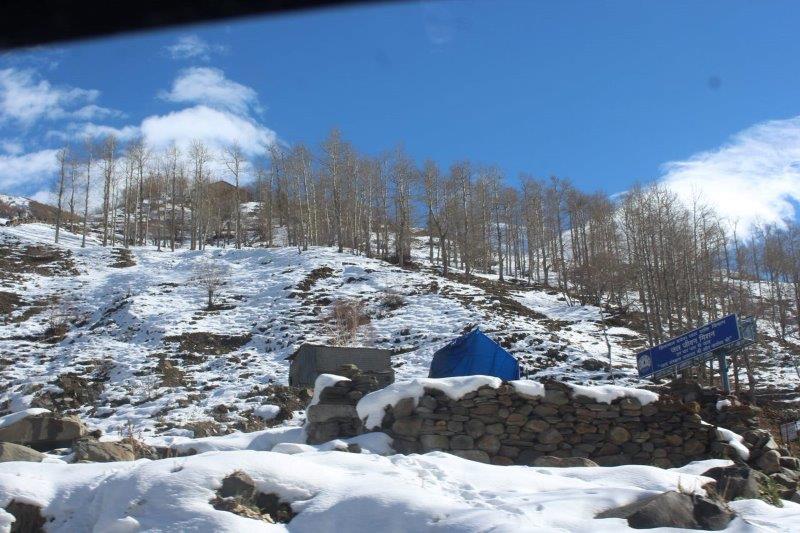 5 Nights 6 Days Shimla Manali from Chandigarh