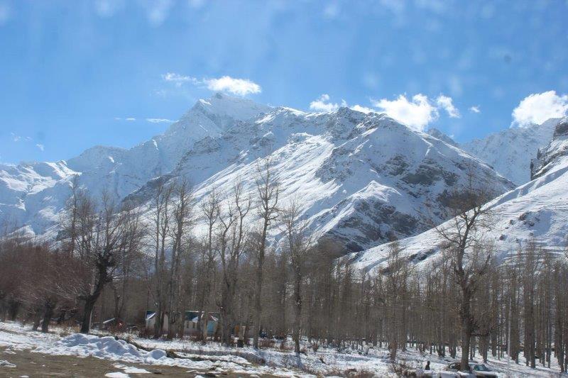 5 Nights 6 Days Shimla Manali from Chandigarh
