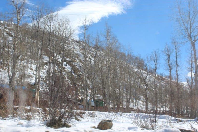 5 Nights 6 Days Shimla Manali from Chandigarh