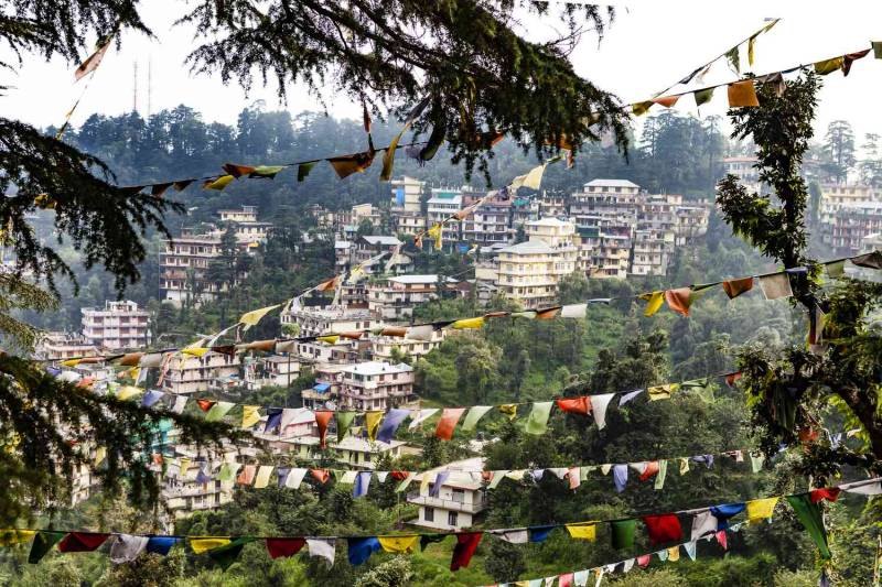 8 Days Himachal Pradesh Tour Ex - Shimla