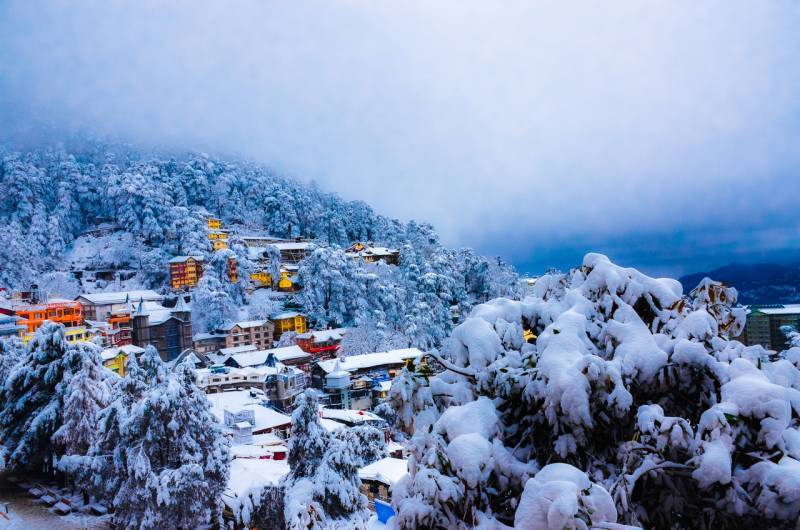 3 Night 4 Day Shimla - Chail Tour Package