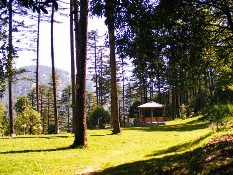 3 Days Dehradun - Dhanaulti Tour Package Image