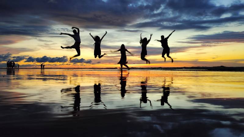 Kota Kinabalu : Bongawan Wetland Proboscis Monkey and Firefly Shared Tour