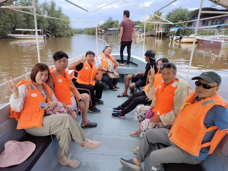 Kota Kinabalu : Bongawan Wetland Proboscis Monkey and Firefly Shared Tour