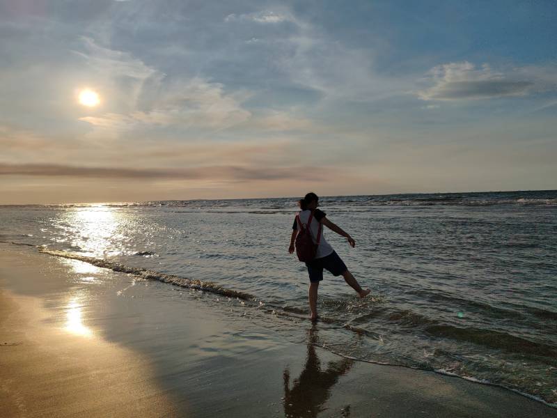 Kota Kinabalu : Bongawan Wetland Proboscis Monkey and Firefly Shared Tour