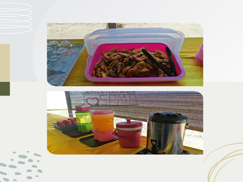 Kota Kinabalu : Bongawan Wetland Proboscis Monkey and Firefly Shared Tour