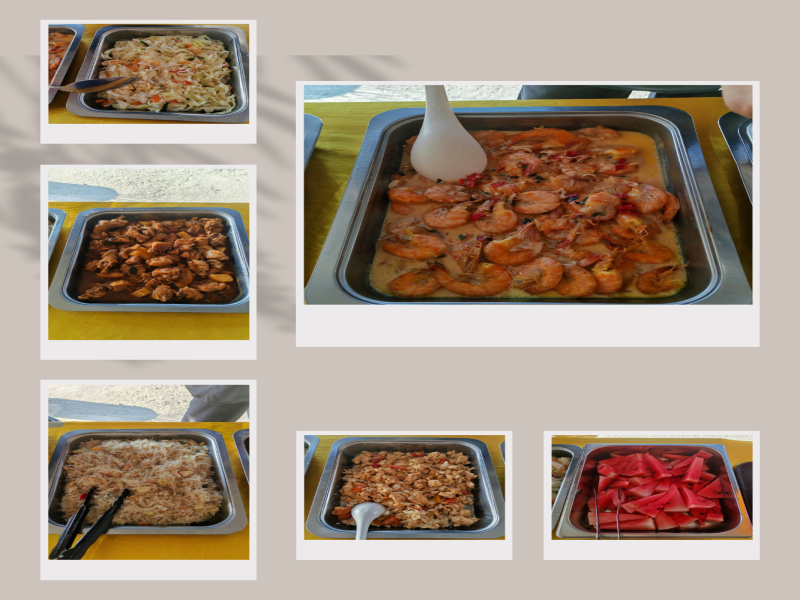 Kota Kinabalu : Bongawan Wetland Proboscis Monkey and Firefly Shared Tour