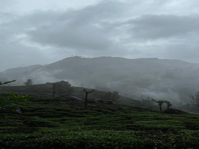 Enchanting Kerala 6 Days of Magical Discoveries