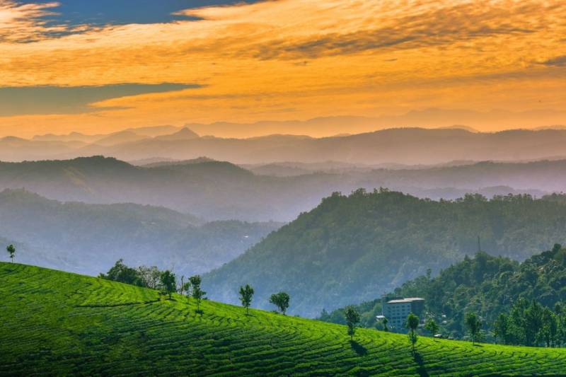 Enchanting Kerala 6 Days of Magical Discoveries