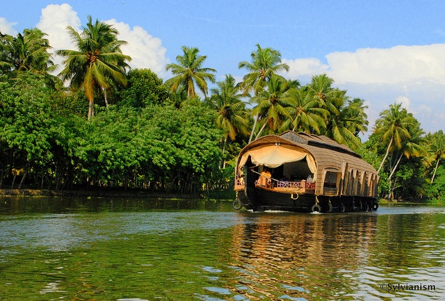 Scenic Kerala Escape 4 Days in Kumarakom and Athirapilly