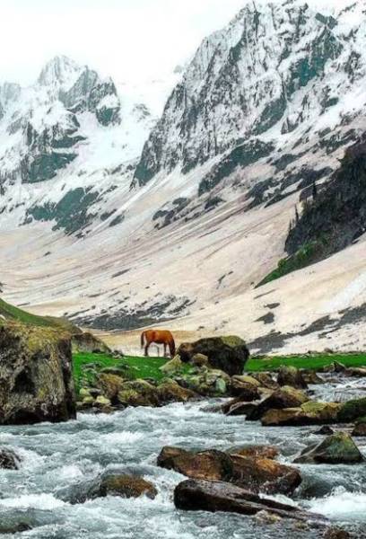 Kashmir Tour Package