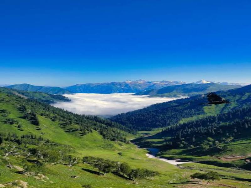 3 Night 4 Days Kashmir Trip