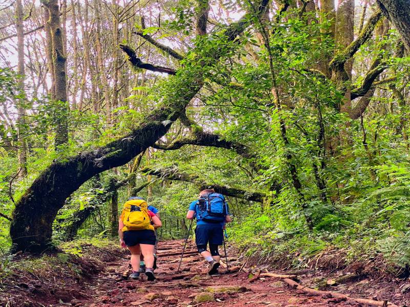 7 - Days Machame Route - Kilimanjaro Trekking
