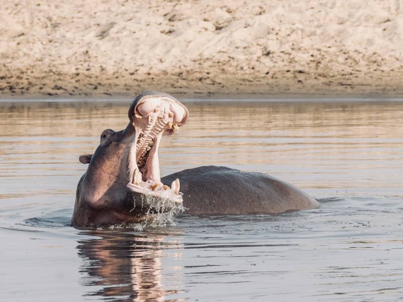 7 - Days Tanzania Tour