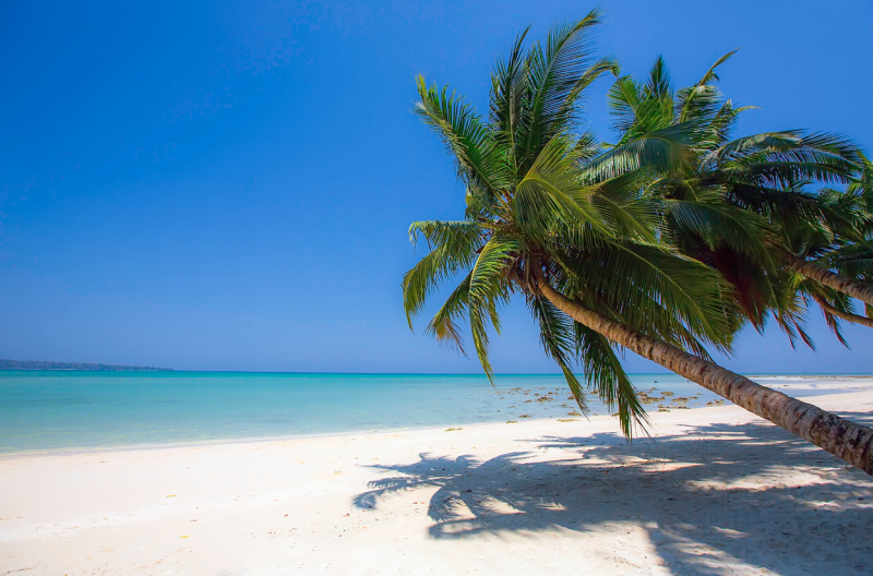 2 Night 3 Days Andaman Tour Package