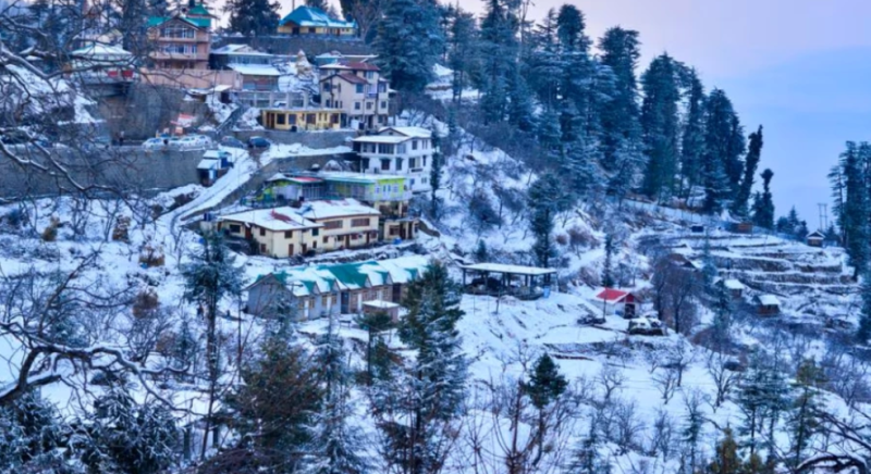 WAtt Pluto Shimla Manali Package