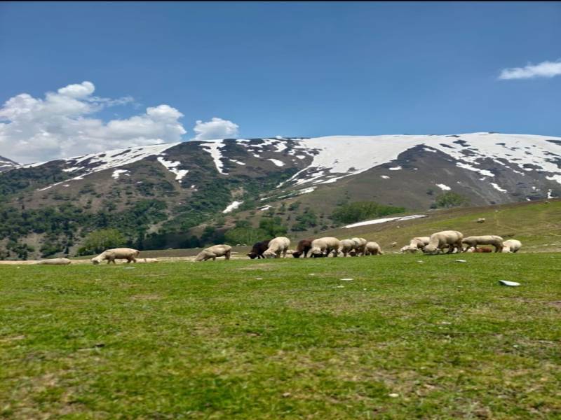 4 Nights And 5 Days  Srinagar to Srinagar