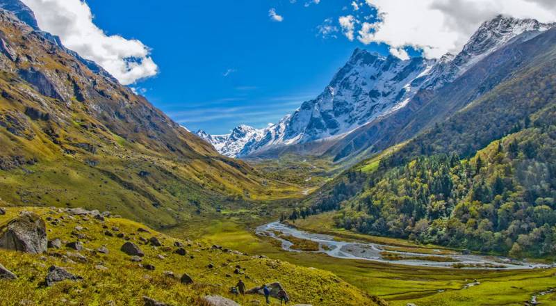 Dayara Bugyal With Surya Top Trek