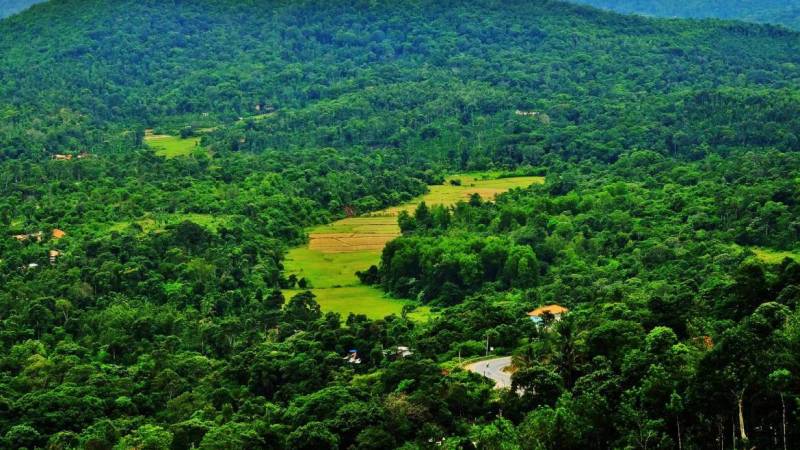 Coorg - Iruppu Falls - Nagarhole From Madikeri 2 Night 3 Days Tour