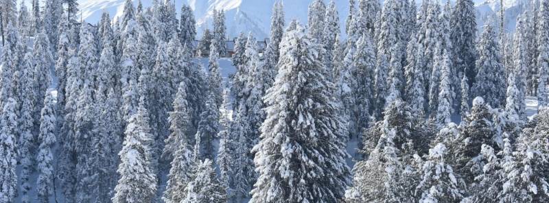 Kashmir Winter Trip Christmas and New Year 4N 5D