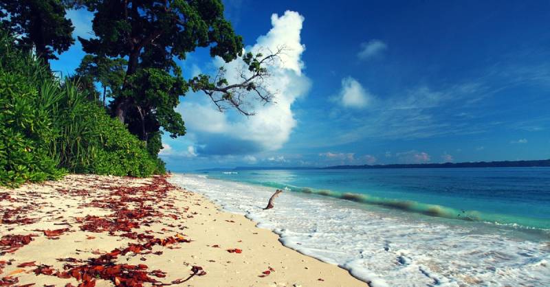 5 Nights - 6 Days in Andaman Tour