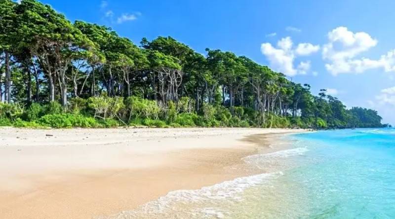 5 Nights - 6 Days in Andaman Tour