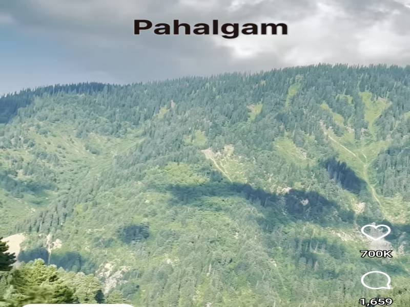 7n 8d - 2 Adult | 1 Child Kashmir Holiday Package