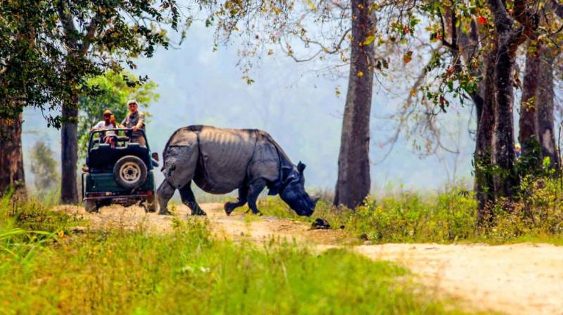 2 Nights/3 Days Kaziranga Tour Package