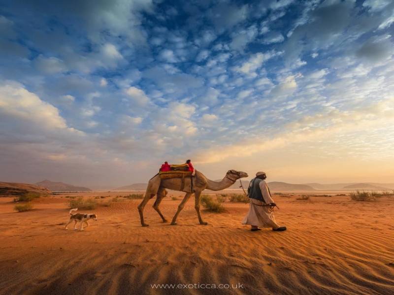 Jordan Express From Amman to the Dead Sea in Five Days