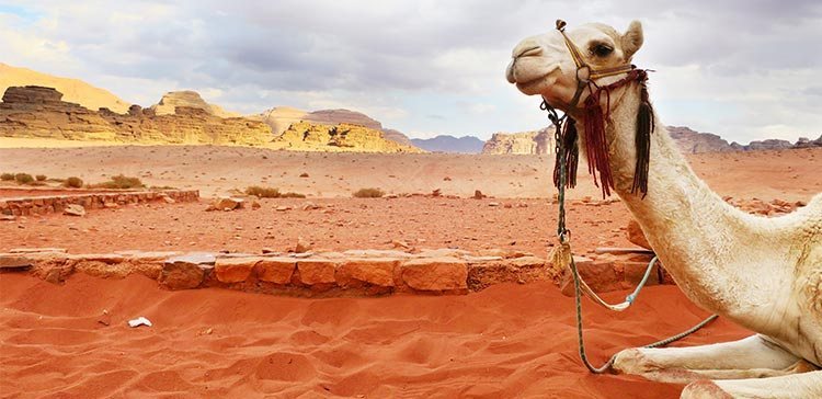 Classic Jordan - Amman, Jerash, Petra - the Dead Sea in 6 Days