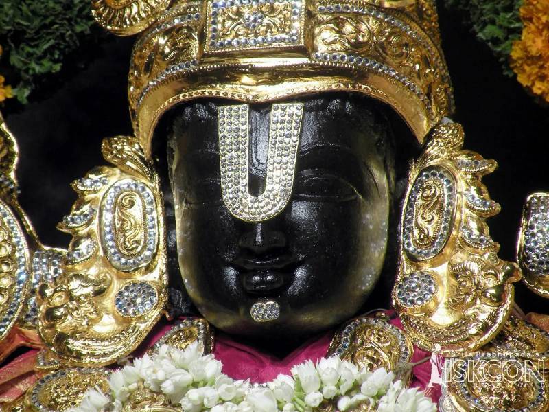 1 Day Tirupati Balaji Darshan Package From Tirupati