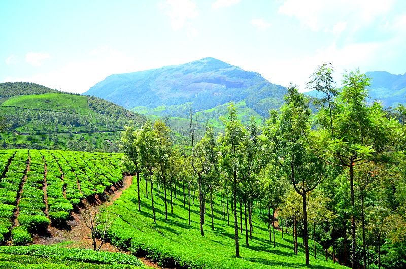 4 Night - 5 Days Kerala Tour Package Image