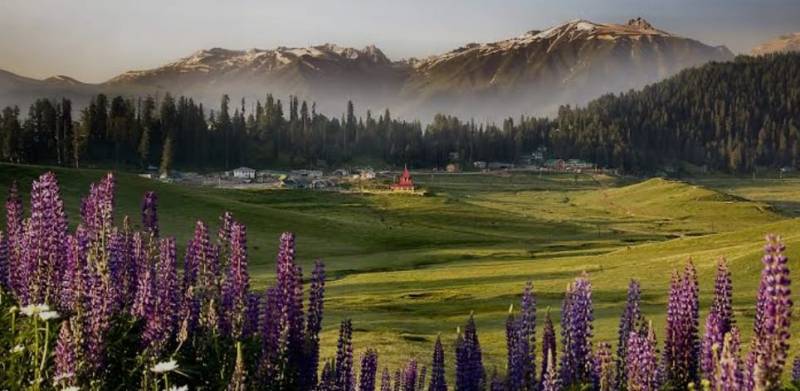 7 Day Magical Kashmir With Sonamarg Tour