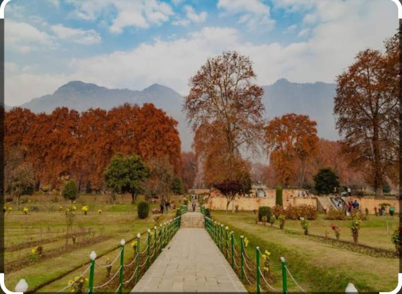 6N 7D Paradise On Earth - Kashmir Tour Package