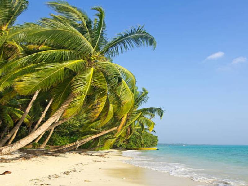 3 Night and 4 Days  Andaman Tour Packages