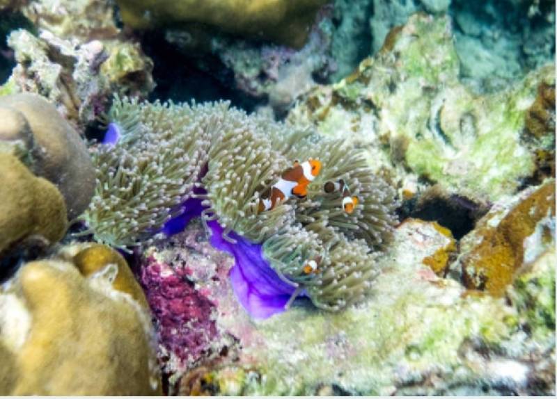 7 Night - 8 Days Andaman Tour Package