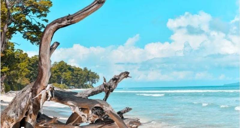 3 Night - 4 Days Andaman Honeymoon Packages